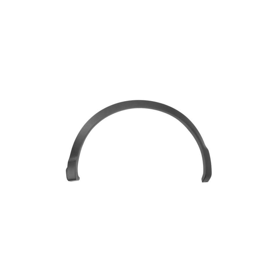 Blic 5703-04-1617595P Trim / Protective Strip, Mudguard For Nissan Qashqai II (J11)