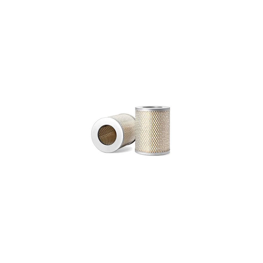 Fleetguard Af25295 Air Filter
