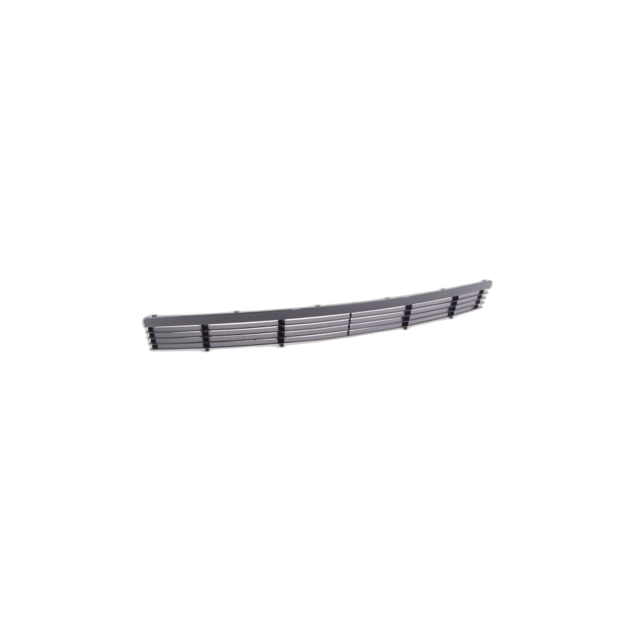 Genuine BMW 51118222443 E36 Open Grid SW SEIDENMATT (Inc. 316i, 328i & 323i) | ML Performance US Car Parts