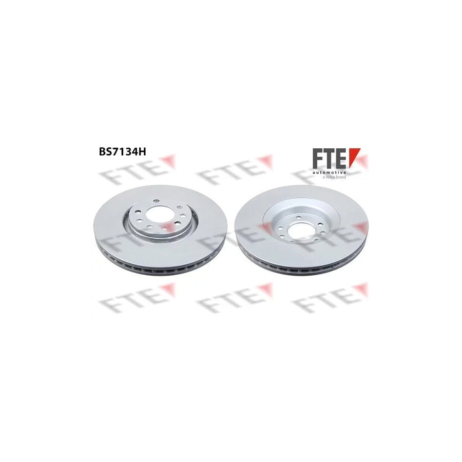 FTE Bs7134H Brake Disc