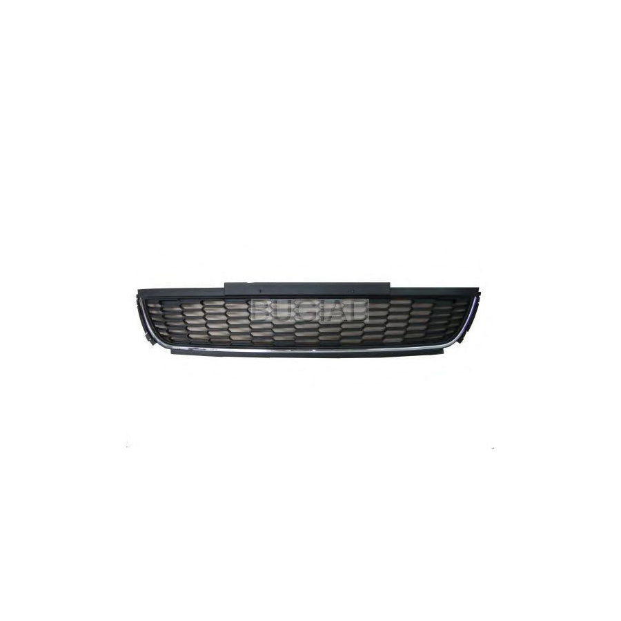 BUGIAD Bsp24125 Bumper Grill for VW Polo V Hatchback (6R1, 6C1)