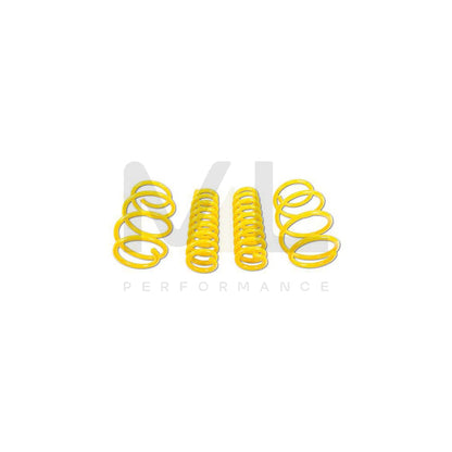 ST Suspensions 28220174 BMW F20 F21 F22 F87 F23 SPORT SPRINGS