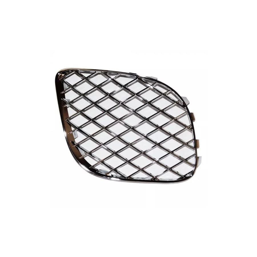 GENUINE Rolls-Royce & Bentley 3W5807682F GRILLE