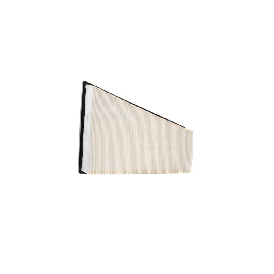Champion CAF100861P Air Filter
