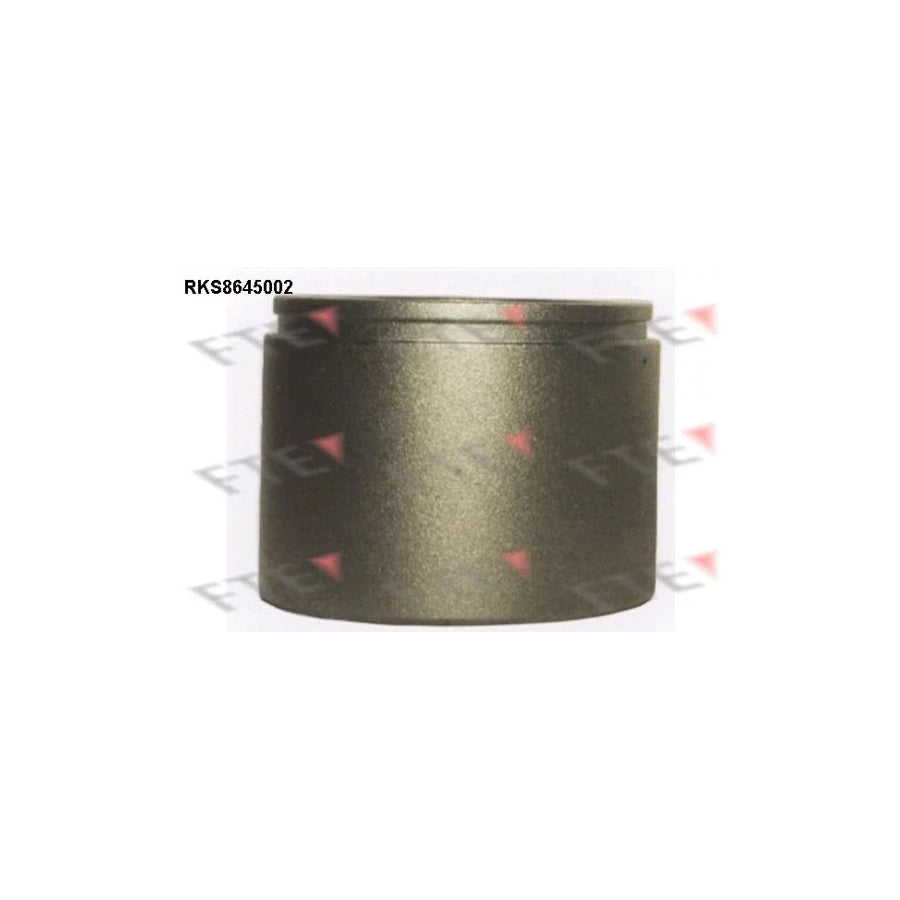 FTE 9313383 Piston, Brake Caliper