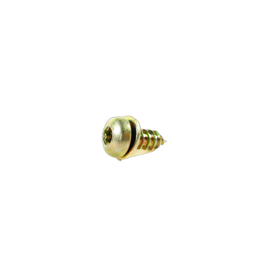 Genuine BMW 51418119726 E53 E36 E39 Torx Bolt 4,8X13 (Inc. 318tds, X5 4.8is & 325tds) | ML Performance UK Car Parts