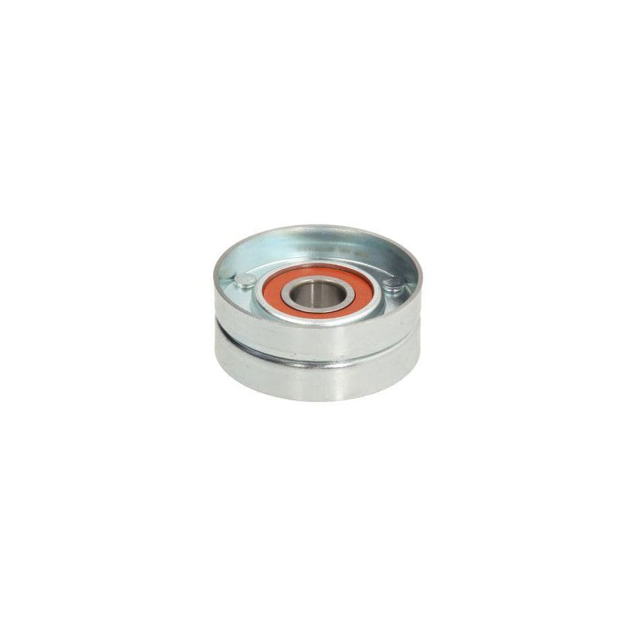 BTA E2W0031BTA Tensioner Lever, V-Ribbed Belt
