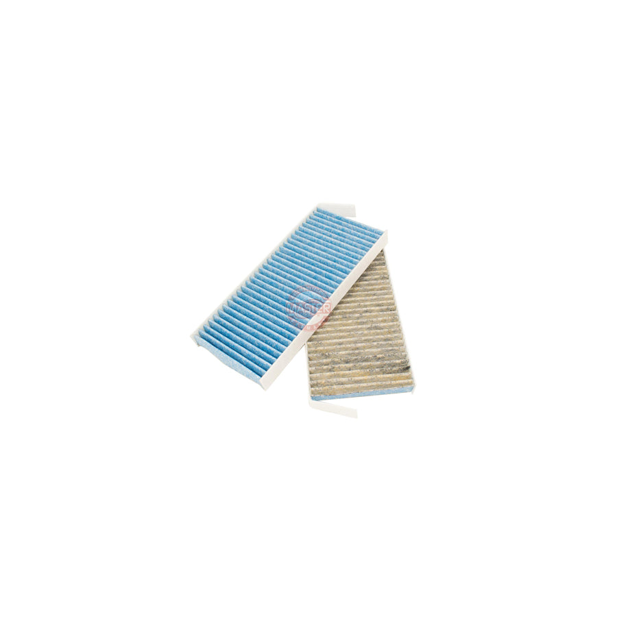 Master Sport 2941-2-IFB-SET-MS Pollen Filter