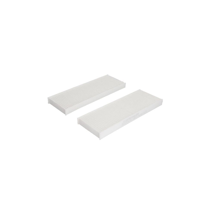 JC Premium B4P021PR-2X Pollen Filter