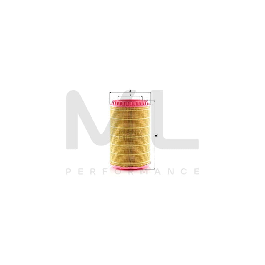 MANN-FILTER C 38 3062 Air Filter Filter Insert, ENTARON