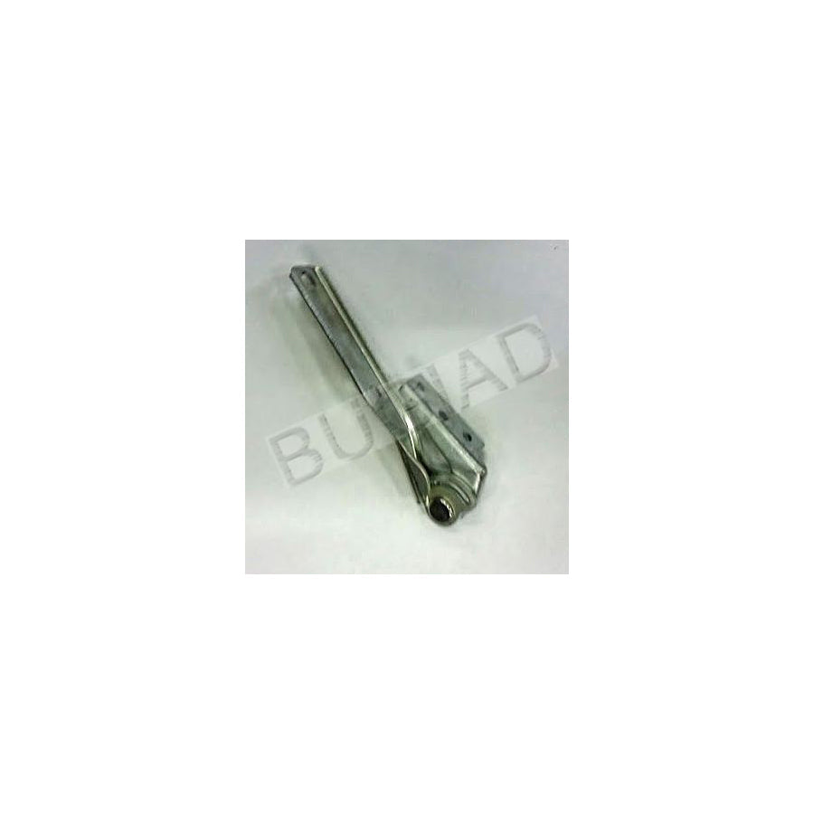 BUGIAD Bsp20595 Hinge, Bonnet