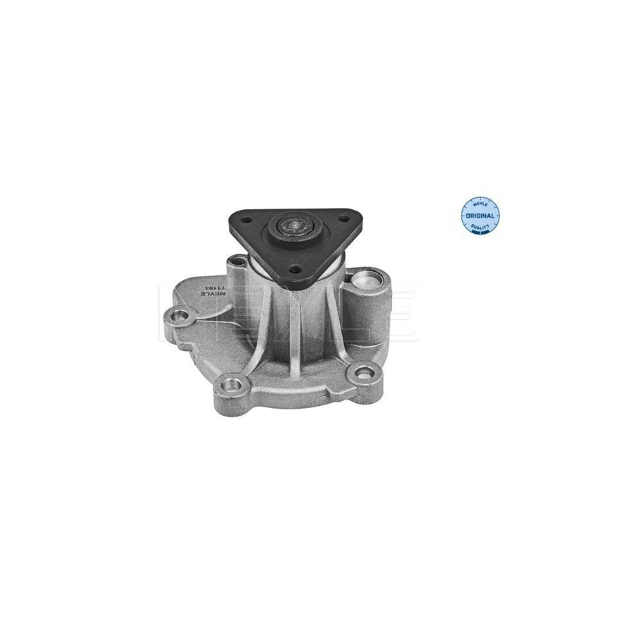 Meyle 11-13 220 0025 Water Pump