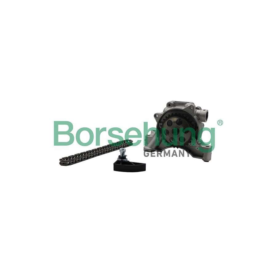 Borsehung B19175 Repair Kit, Oil Pump for VW Jetta Mk6 (162, 163, Av3, Av2)