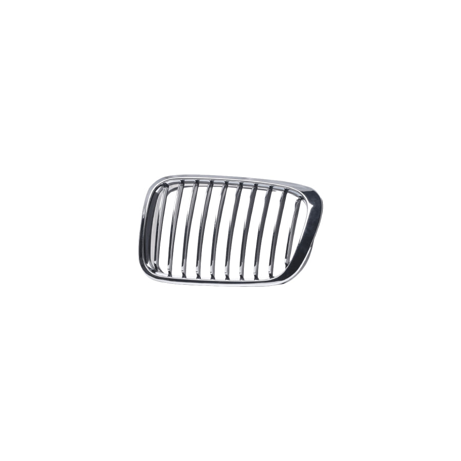 Abakus 00424482 Radiator Grille for BMW X3 (E83)