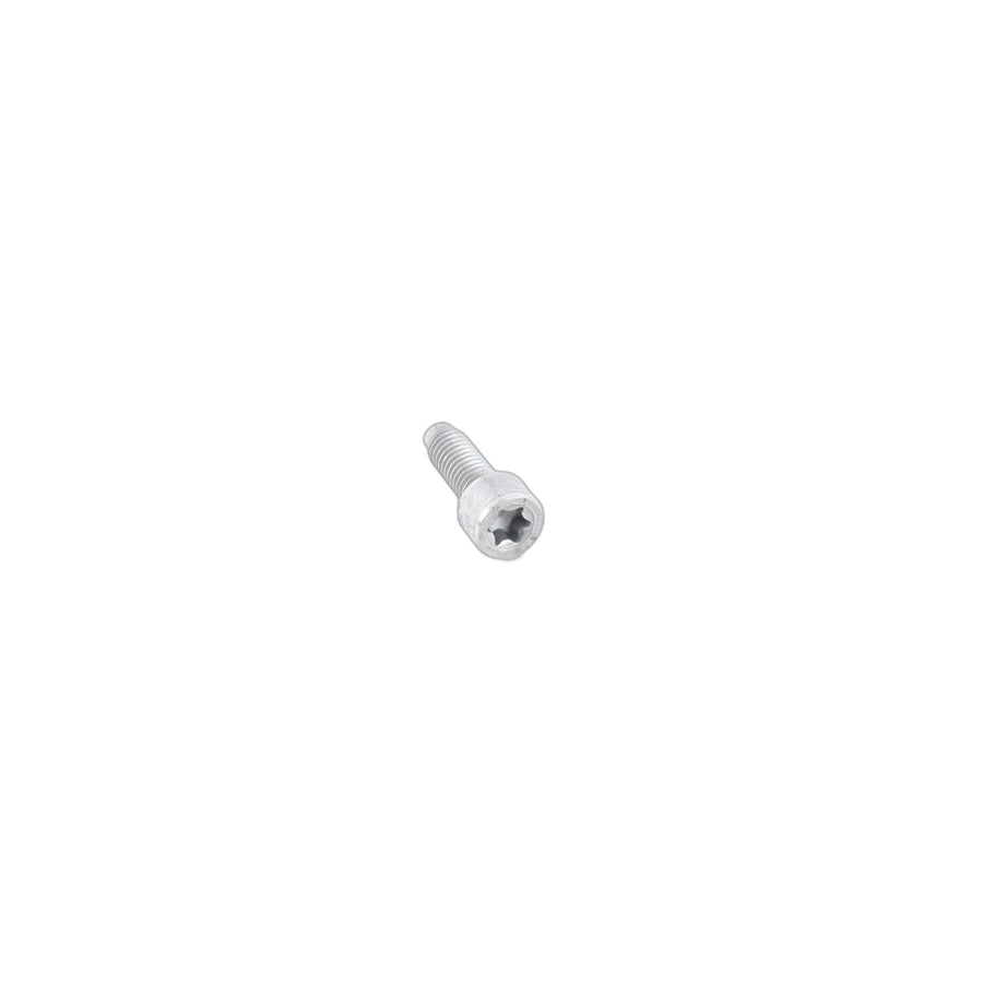 Genuine BMW Mini 07129905491 F34 Torx Screw M8X20-PC-8.8 (Inc. 330d) | ML Performance US Car Parts