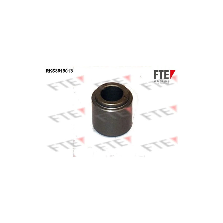 FTE Rks8619013 Piston, Brake Caliper for Citroã N C5