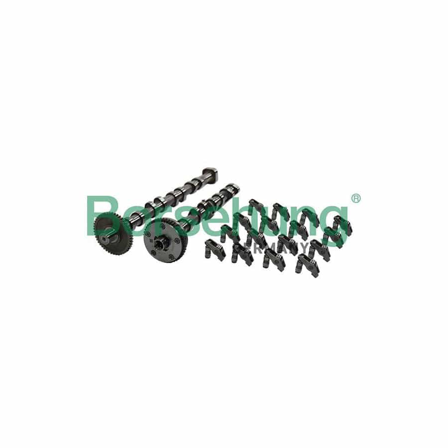 Borsehung B19173 Camshaft Kit