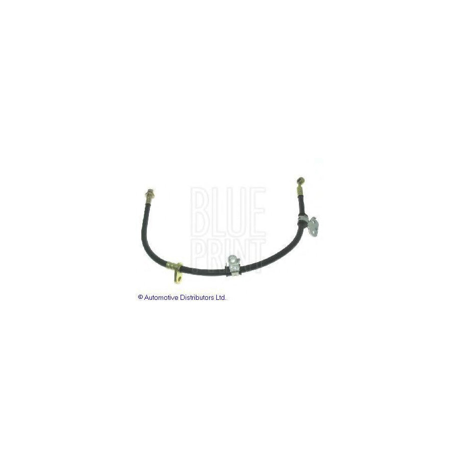 Blue Print Adh253113 Brake Hose