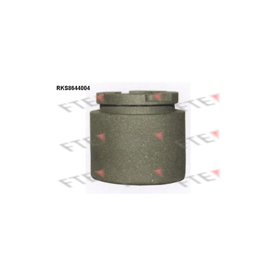 FTE 9313380 Piston, Brake Caliper