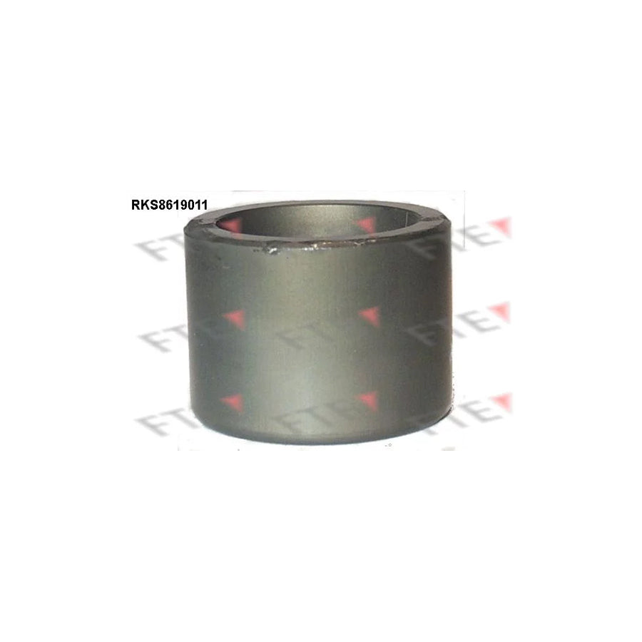 FTE Rks8619011 Piston, Brake Caliper