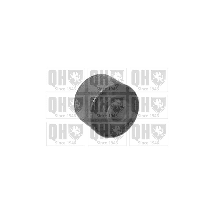 Quinton Hazell EMS2445 Control Arm / Trailing Arm Bush