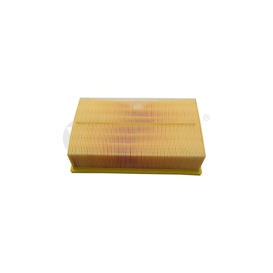 Vika 11291001601 Air Filter