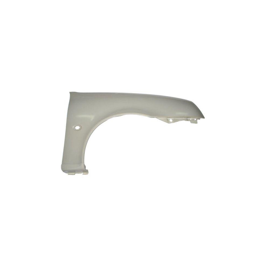 Blic 6504-04-2563314P Wing Fender