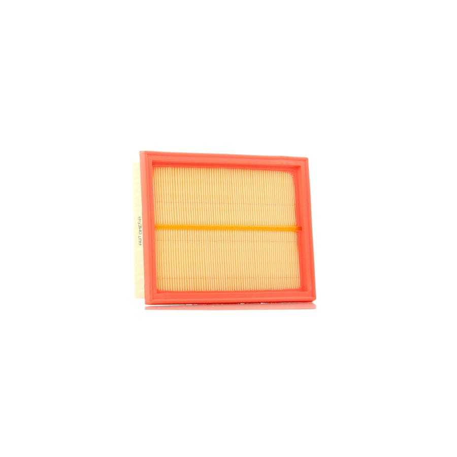 Automega 180074010 Air Filter