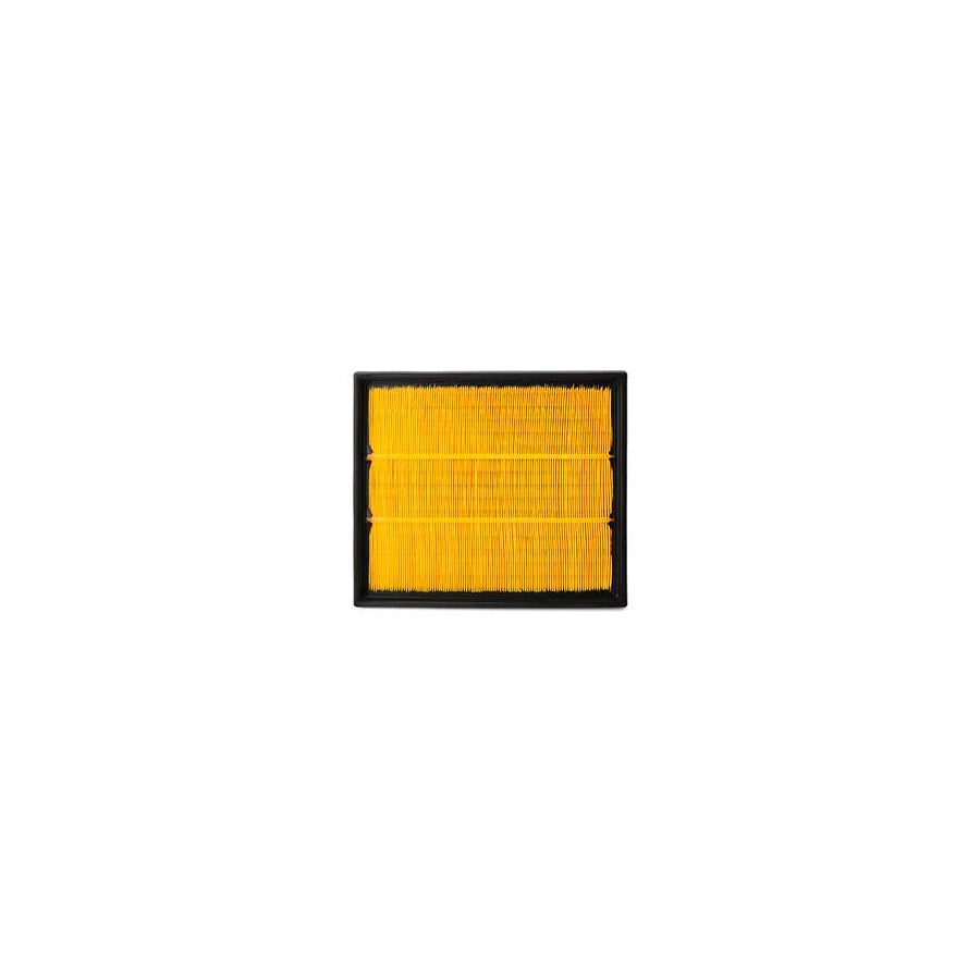 Fleetguard Af25319 Air Filter Suitable for Mercedes-Benz Sprinter