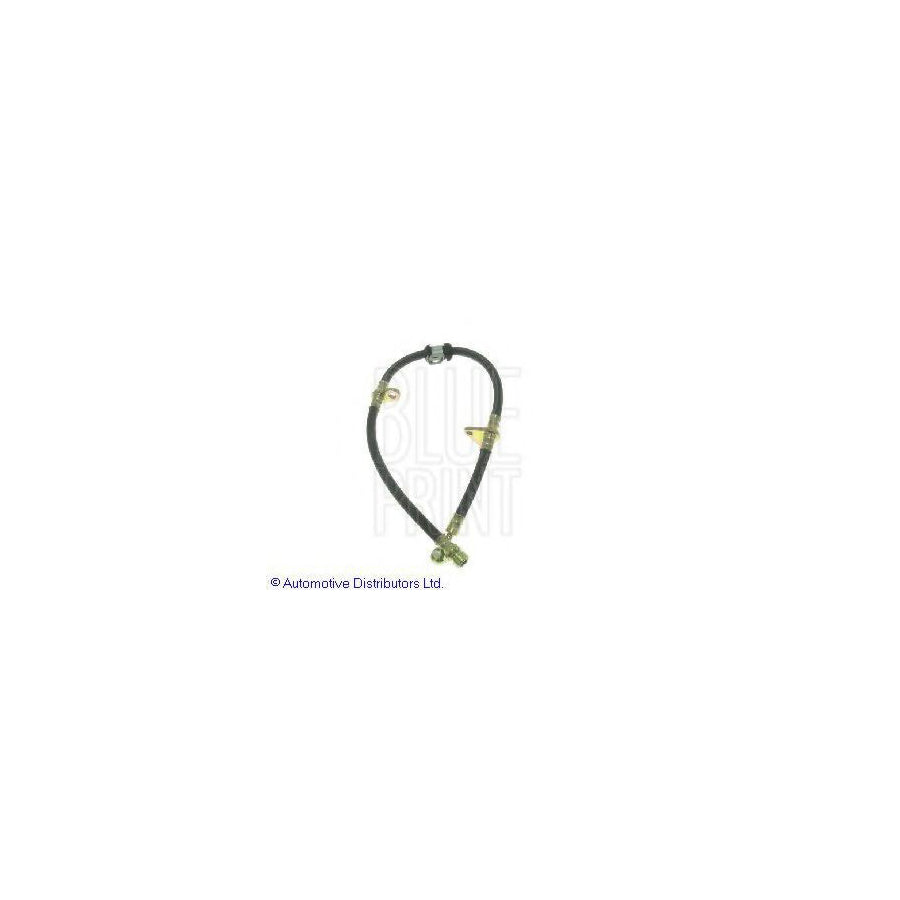 Blue Print Adh25313 Brake Hose for Honda Accord