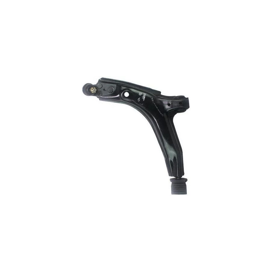 Denckermann D120197 Suspension Arm