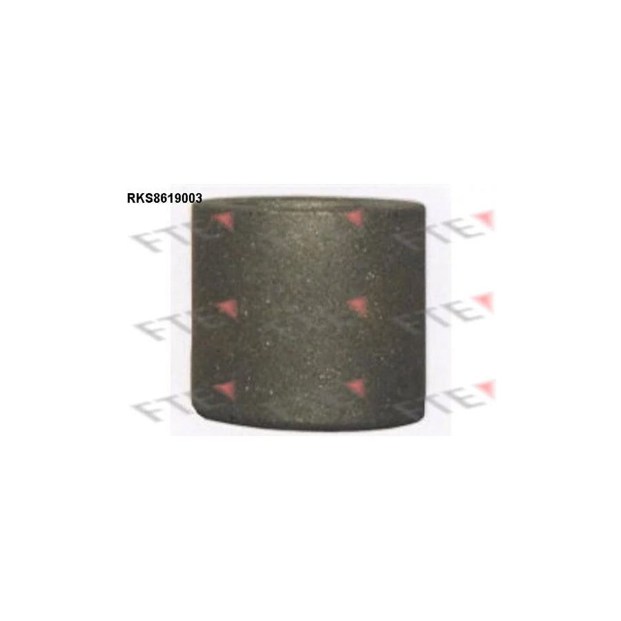 FTE Rks8619003 Piston, Brake Caliper