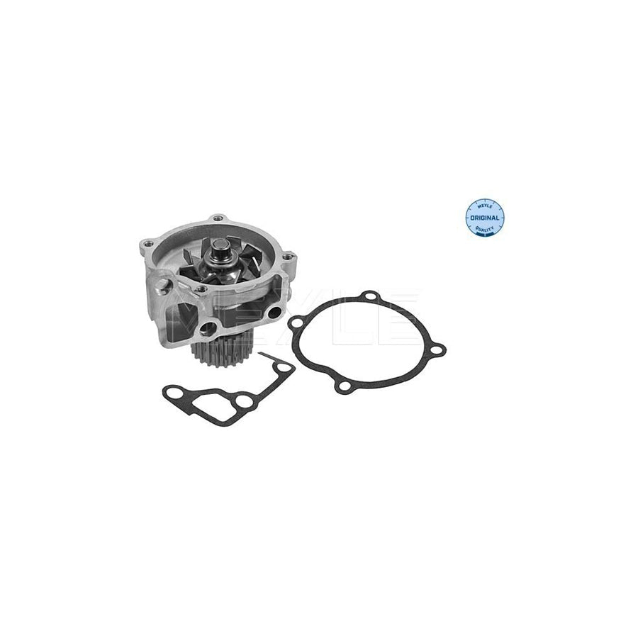 Meyle 35-13 220 0001 Water Pump