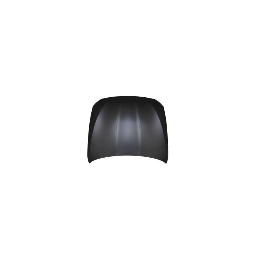 Abakus 00431100 Bonnet for BMW 5 Saloon (F10)