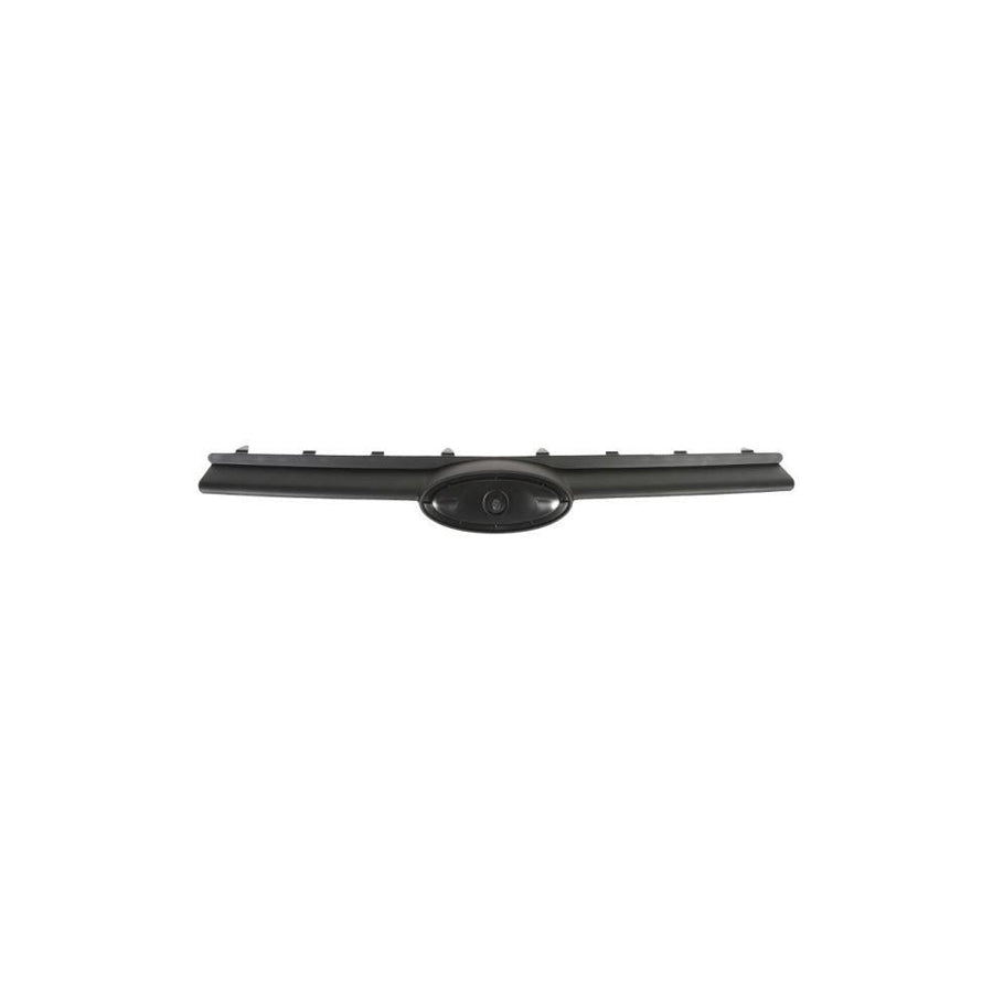 Blic 6502-07-2508990P Radiator Grille
