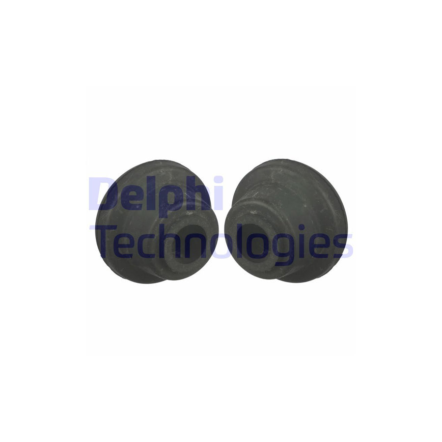 Delphi TD993W Control Arm / Trailing Arm Bush