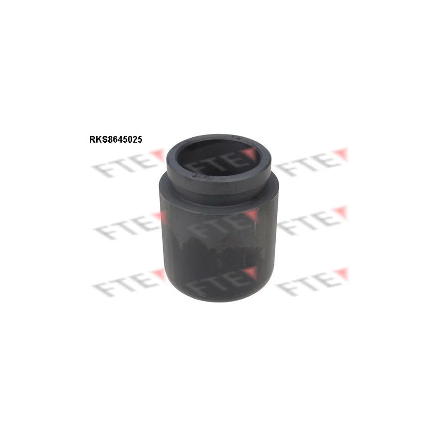 FTE 9313400 Piston, Brake Caliper for Toyota Camry
