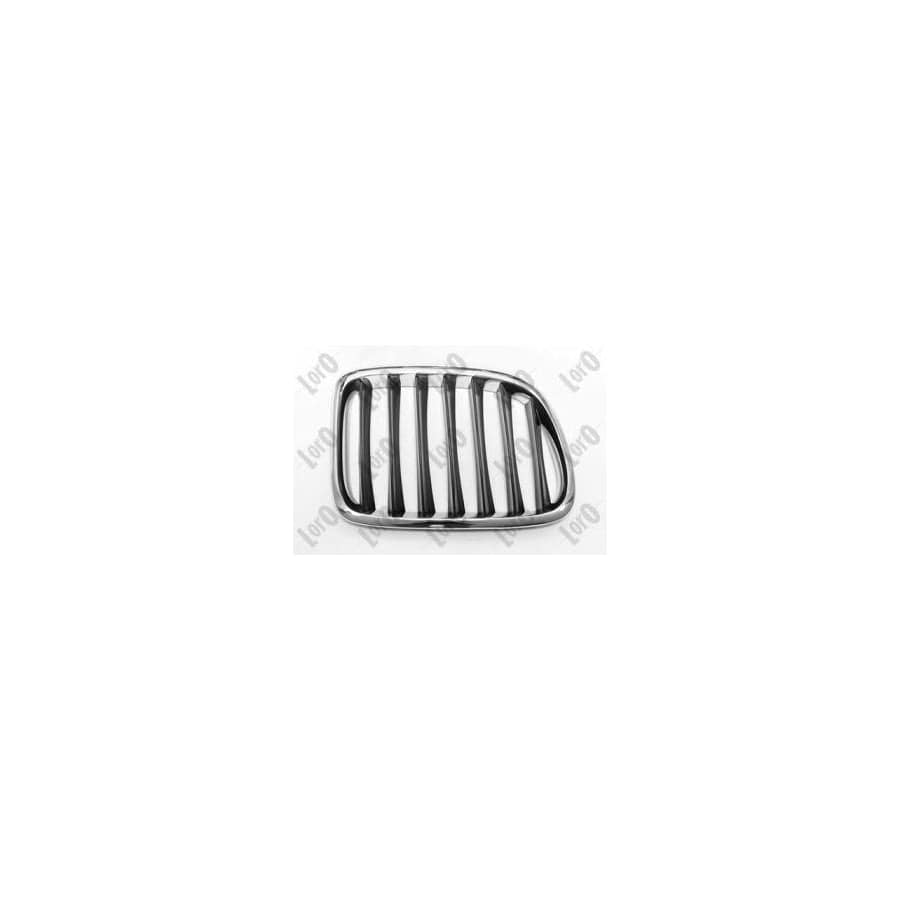 Abakus 00430408 Radiator Grille for BMW X1 (E84)