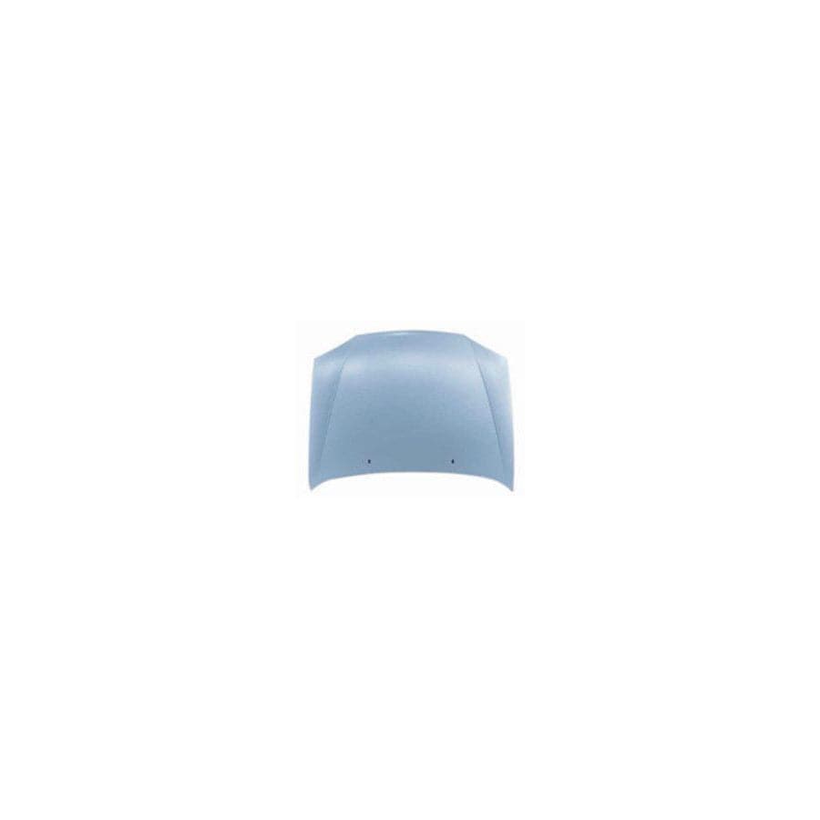Abakus 01709100 Bonnet for Ford Fiesta
