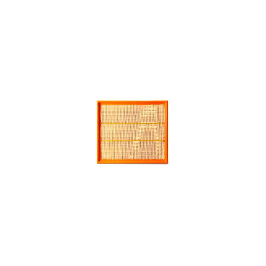 Fleetguard Af25306 Air Filter
