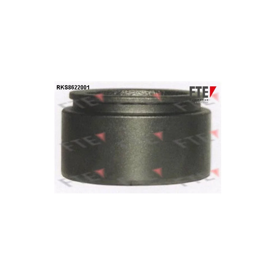 FTE Rks8622001 Piston, Brake Caliper
