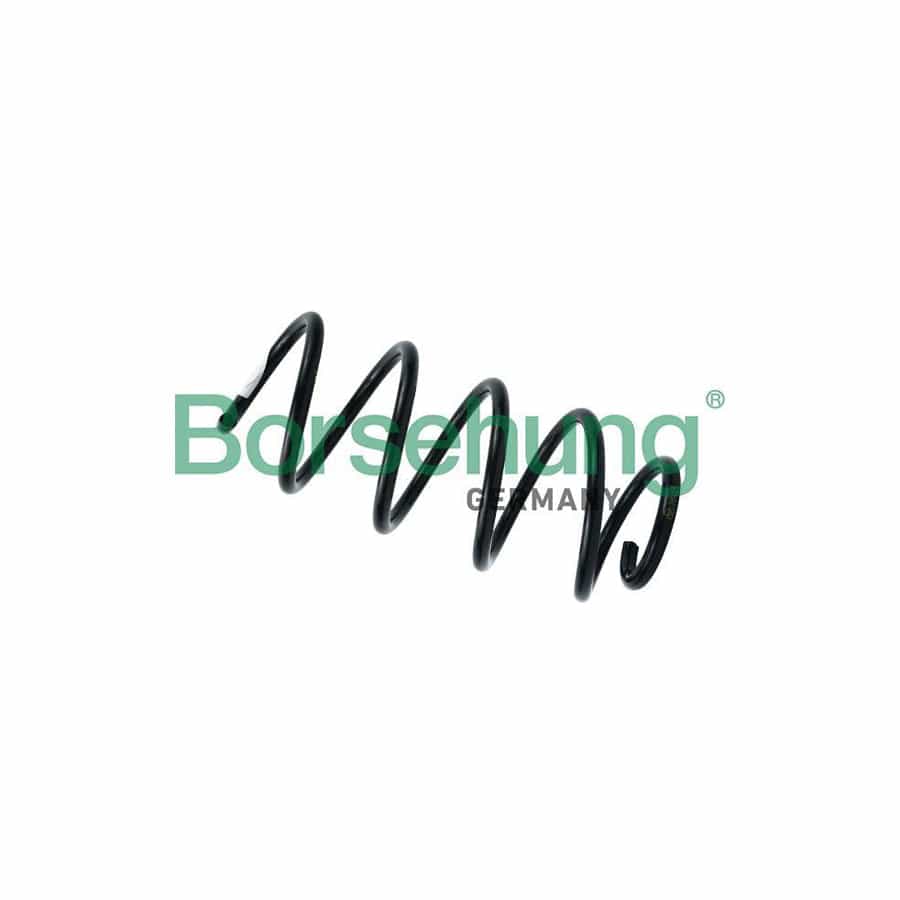 Borsehung B12625 Coil Spring