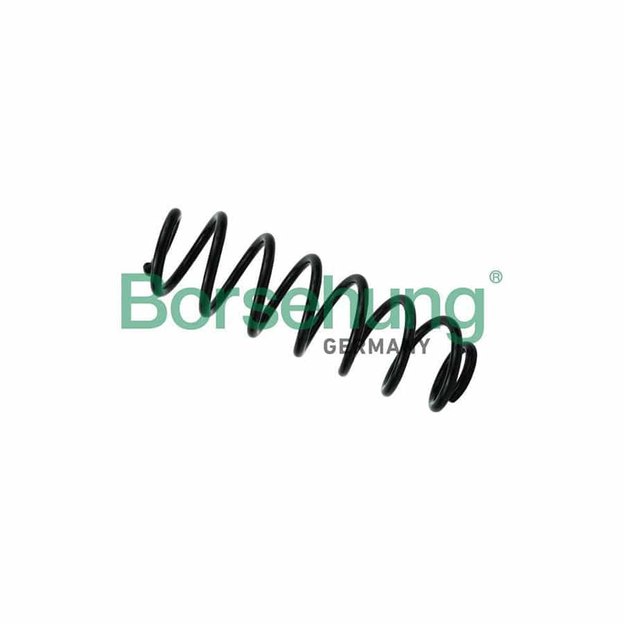 Borsehung B12624 Coil Spring