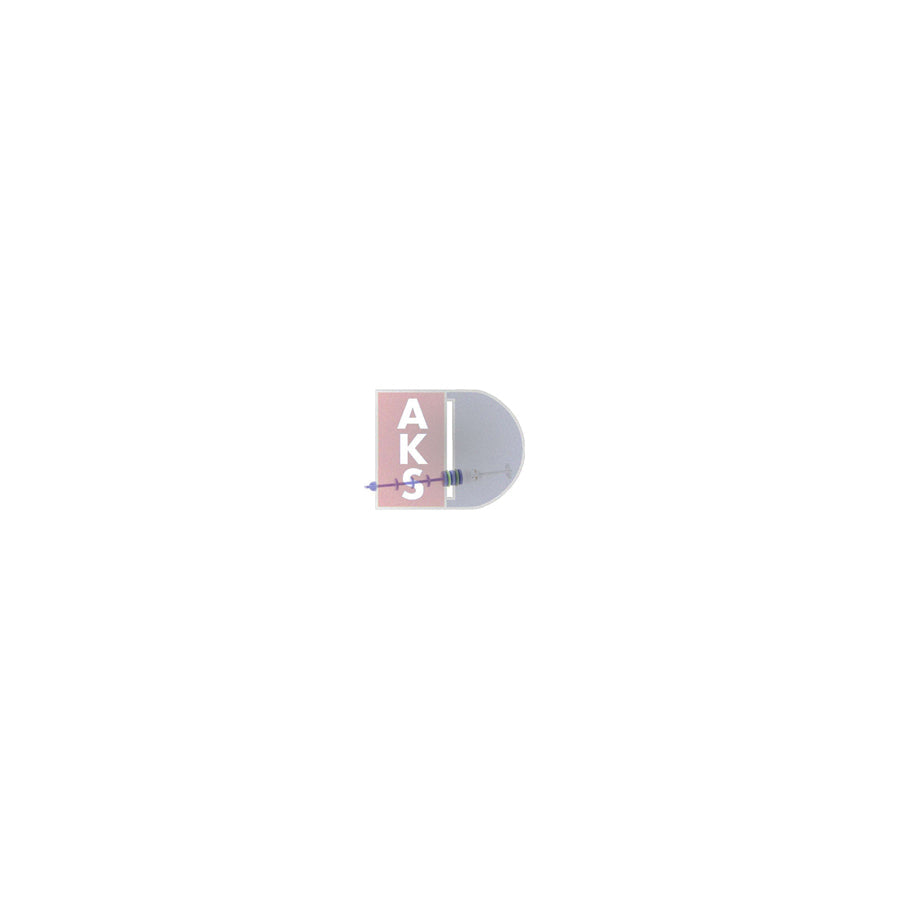 AKS Dasis 900170N Seal Ring