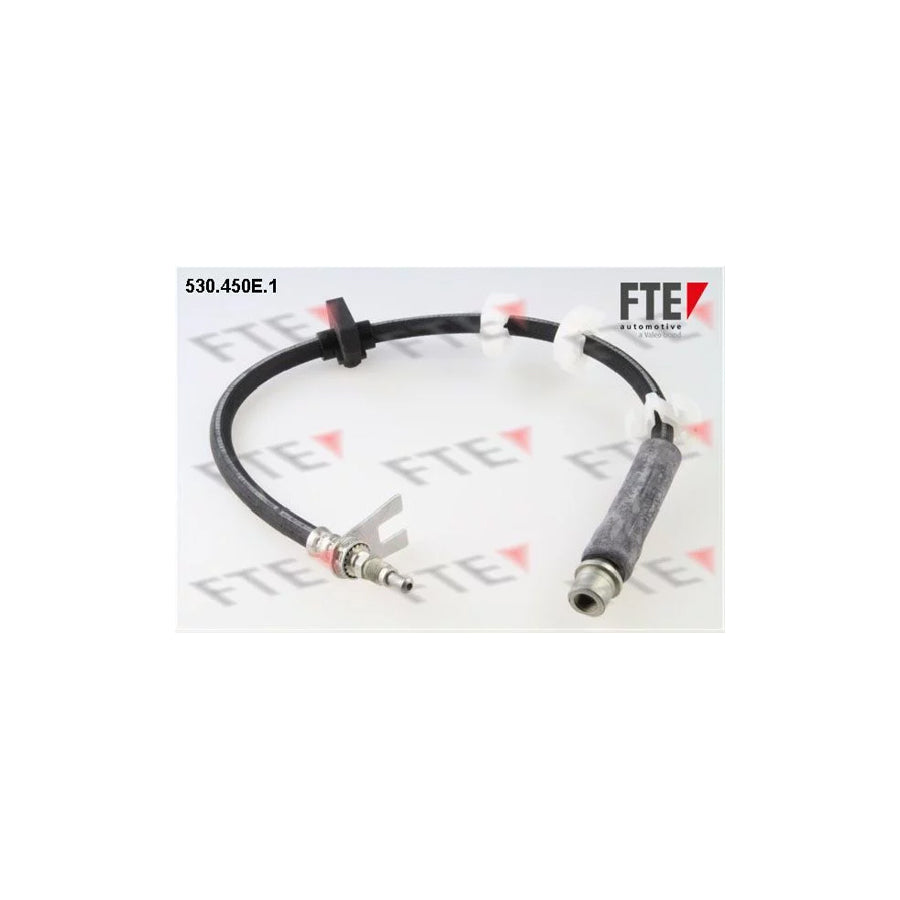FTE 530.450E.1 Brake Hose for Peugeot 406