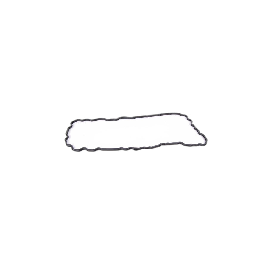 Genuine BMW 11137627512 F21 F22 F20 Profile-Gasket (Inc. 125i, X1 28i & Z4 28i) | ML Performance US Car Parts