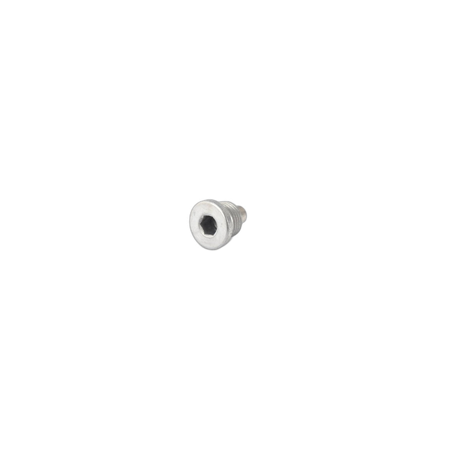 Genuine BMW 11137720999 Screw Plug, Magnetic M16X1,5-ZNNIV (Inc. i3s 120Ah, i3s 94Ah & Cooper SE) | ML Performance US Car Parts