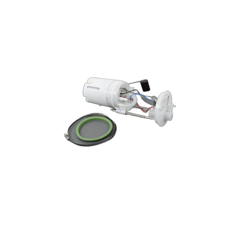 Genuine BMW 16117195464 E70 Delivery Unit With In-Tank Pump & Filter (Inc. X5 4.8i) | ML Performance US Car Parts