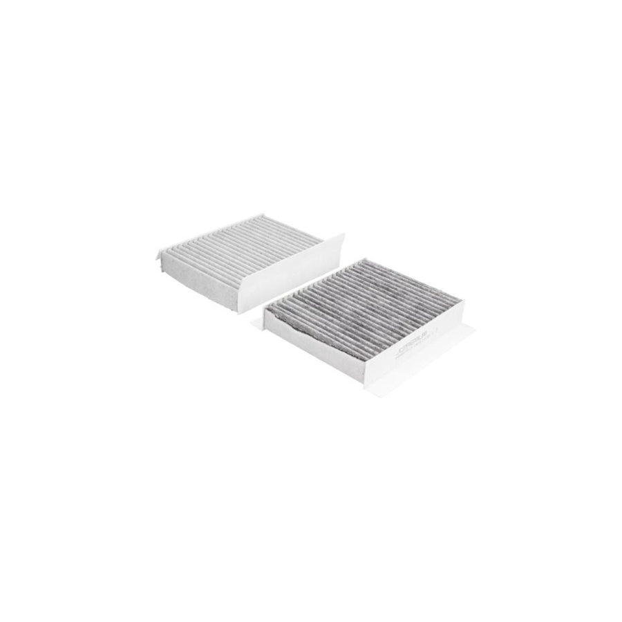 JC Premium B4D005CPR-2X Pollen Filter