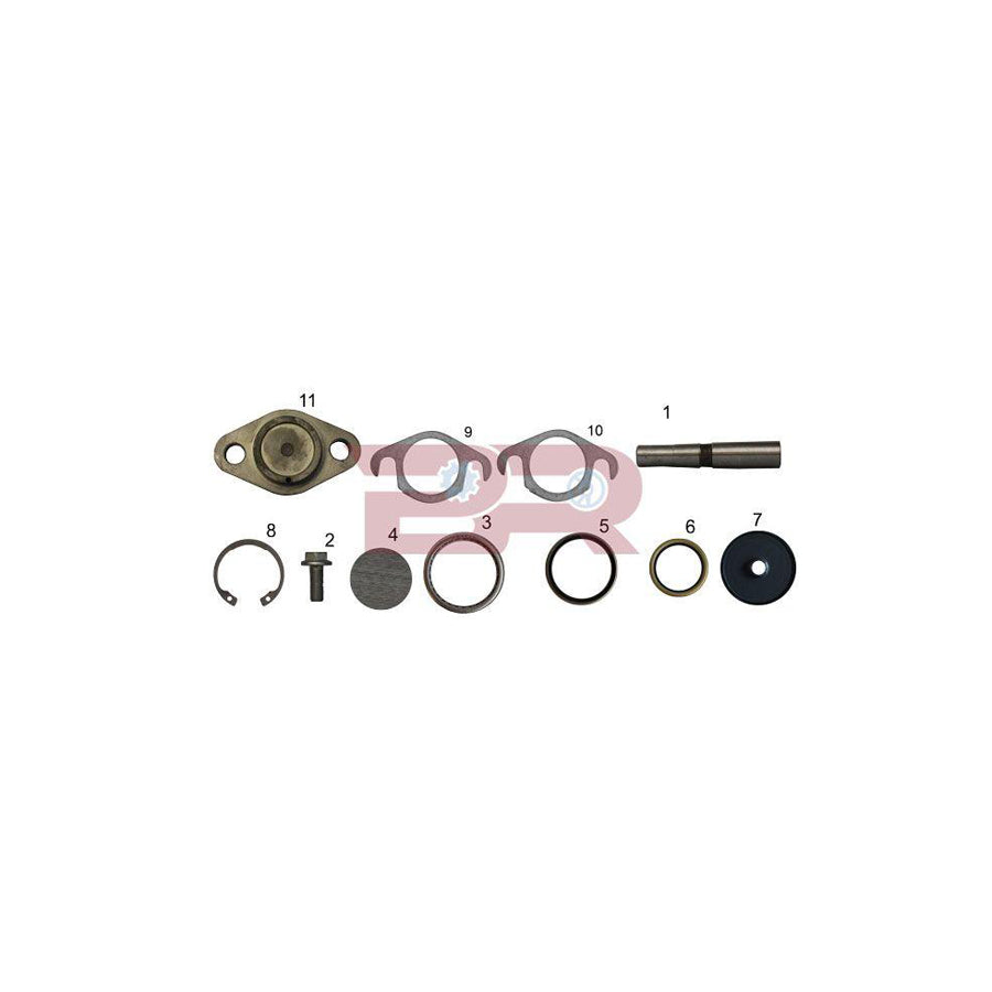 Botto Ricambi Kitiv026 Repair Kit, Kingpin